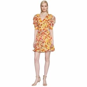 Walter Baker dress in a multicolor floral pattern